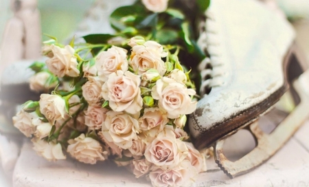 delicate winter roses - winter, pink roses, bouquet, still life