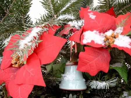 Christmas Decoration with Poinsettia 