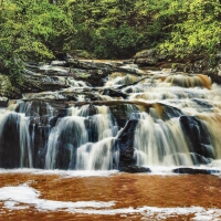 Chattahoochee National Park 1