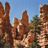 Zion National Park 1