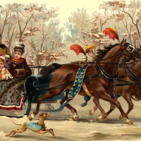 walk in the woods with sleigh and horse team