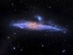 Star Streams and the Whale Galaxy