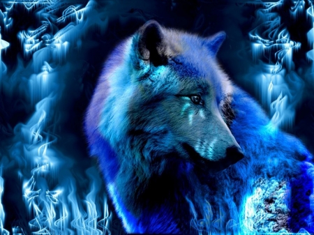 Werewolf - digital art, animal, art, wolf