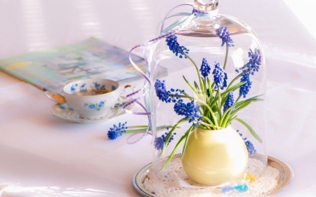 Still Life - flowers, vase, still life, cup