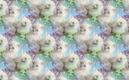 Kittens pattern - paper, pattern, animal, pink, cat, blue, white, kitten, texture, green