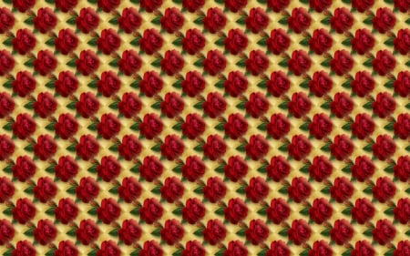 Rose pattern - red, paper, flower, pattern, rose, yellow, texture