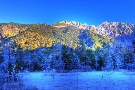 Lake - morning, lake, forest, mountain