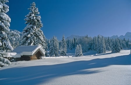 Winter Cabin - firs, landscape, snow, alps, europe