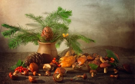 Still Life - mushrooms, still life, timber, limp