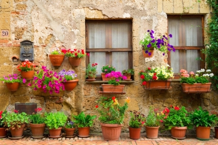 ♥ - abstract, flowers, pots, photography