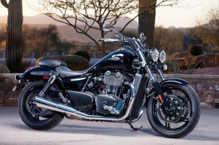 Triumph Thunderbird Storm 2014 - triumph, crusier, muscle, thunderbird, motorcycles, storm