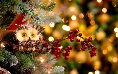 Christmas decoration - new year, room, christmas, pretty, beautiful, holiday, house, tree, decoration, lights