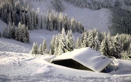 Winter view - house, trees, winter, cabin, beautiful, snow, landscape, forest, valley, mountain, view, hut, cottage