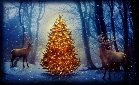 Christmas - Christmas tree, garlands, trees, new year, snow, forest, reindeer