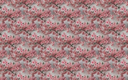 Texture - pink, pattern, blossom, paper, texture, flower, spring