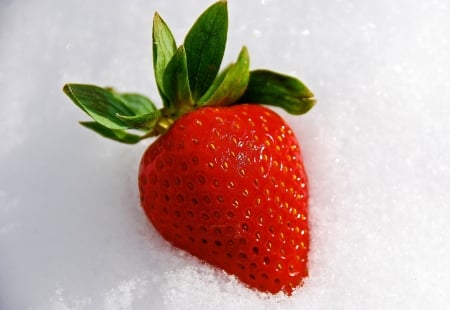 Winter strawberry - strawberry, winter, snow, capsuna, white, red, green, fruit, iarna