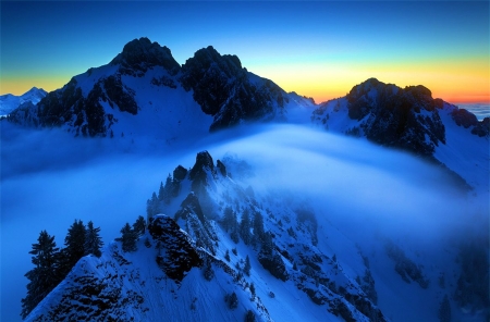 Mountain Winter - peaks, firs, landscape, sunset, snow