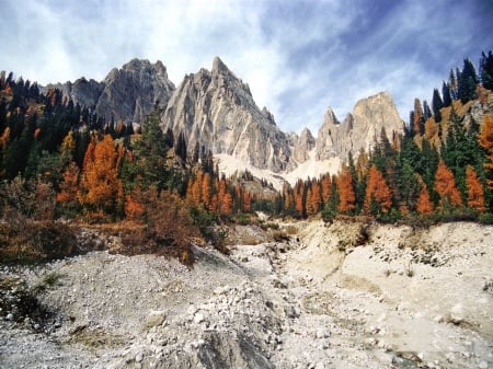 Early Winter - mountains, peaks, trees, colors, snow