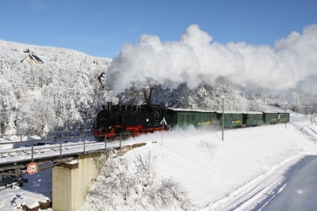 Museums Train in Germany - steam, locomotive, trees, winter, vintage, landscape, snow, bridge