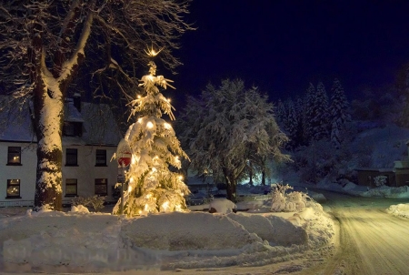 Christmas Time - house, snow, trees, christmas tree