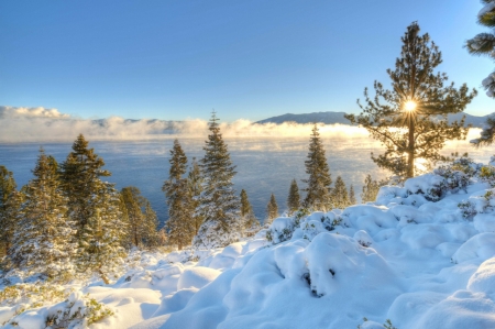 Lake Tahoe in winter - california, forest, winter, nevada, tahoe, sierra, lake, usa, scenery, nature, snow