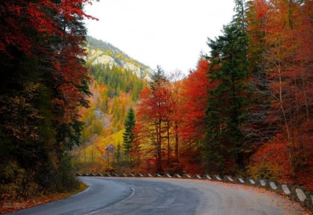 Landscape From Romania - autumn, landscape, trees, road