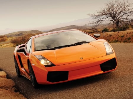 lamborghini gallardo superleggera - italian, gallardo, superleggera, lamborghini