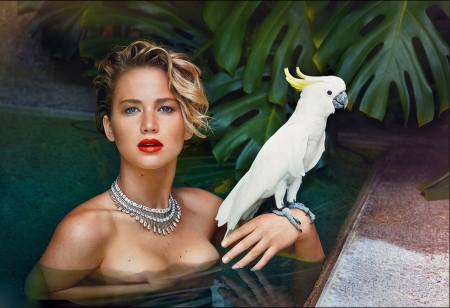 Jennifer Lawrence - woman, actress, jennifer lawrence, female, girl, photography, elegant, bird, pretty, parrot, beautiful, pool