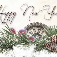 Winter New Year