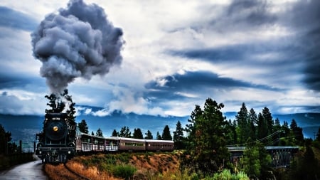 steam train - train, tree, steam, bridge