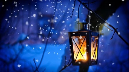 Winter Light - snow, Winter, light, lantern