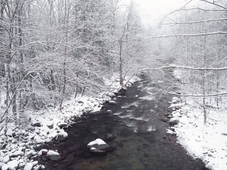 winter-scenes-1--40- - ice, trees, water, snow, Winter, stream