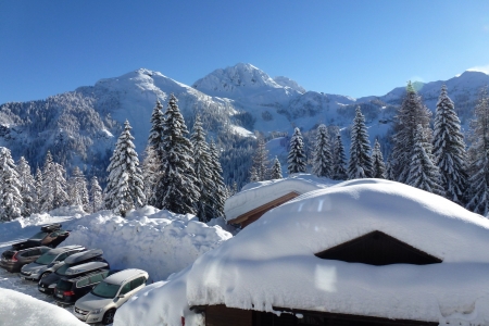 Deep Winter - trees, landscape, snow, cabin, mountains