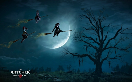 Witches - black, the witcher3, game, girl, luna, blue, white, witch, fantasy, moon, tree, sorceress, woman