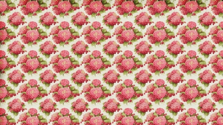 Texture - white, rose, pattern, texture, flower, pink, papeer