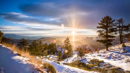 Winter Sun - hills, landscape, trees, sun