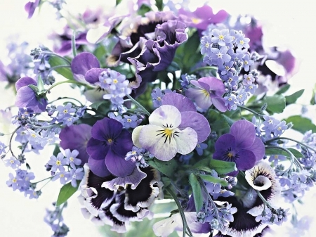 Purple - beautiful, flower, purple, still life