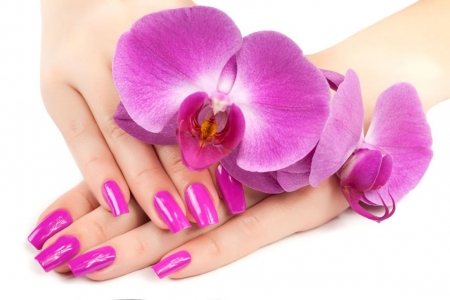 ♥ - abstract, flowers, orchid, hands