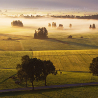 Germany - Fields