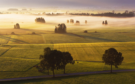 Germany - Fields - germany, trees, fog, fields, windows7theme