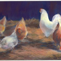 Chickens