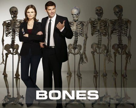 Bones - david boreanaz, emily deschanel, bones