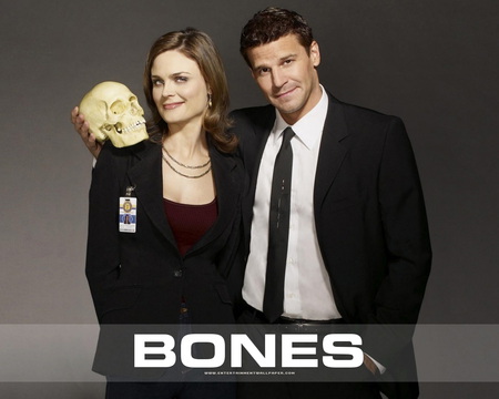 Bones - emily deschanel, bones, david boreanaz