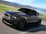 2010 Ford Mustang