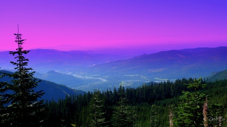 Down in the Valley - valley, sky, forest, mountains, widescreen, washington