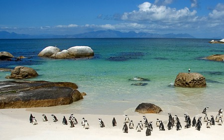 Windows Globalization (ZA6) - Windows 7 - windows, beach, seven, microsoft, water, rocks, yellow, za, green, rock, land, sand, windows 7, africa, nature, penguins, blue, pool, 7