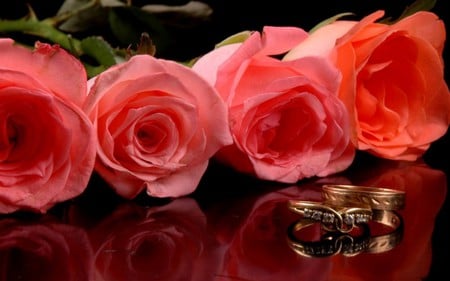 SYMBOLS OF LOVE & MARRIAGE - love, symbol, roses, reflection, rings, marriage