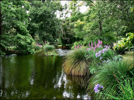 Garden - nature, gardens