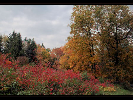 Autumn - nature, autumn