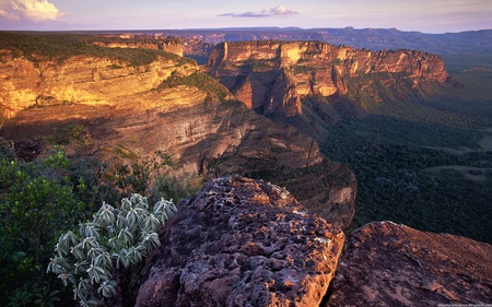 Nice View - flowers, view, landscape, cliffs, nice, rocks